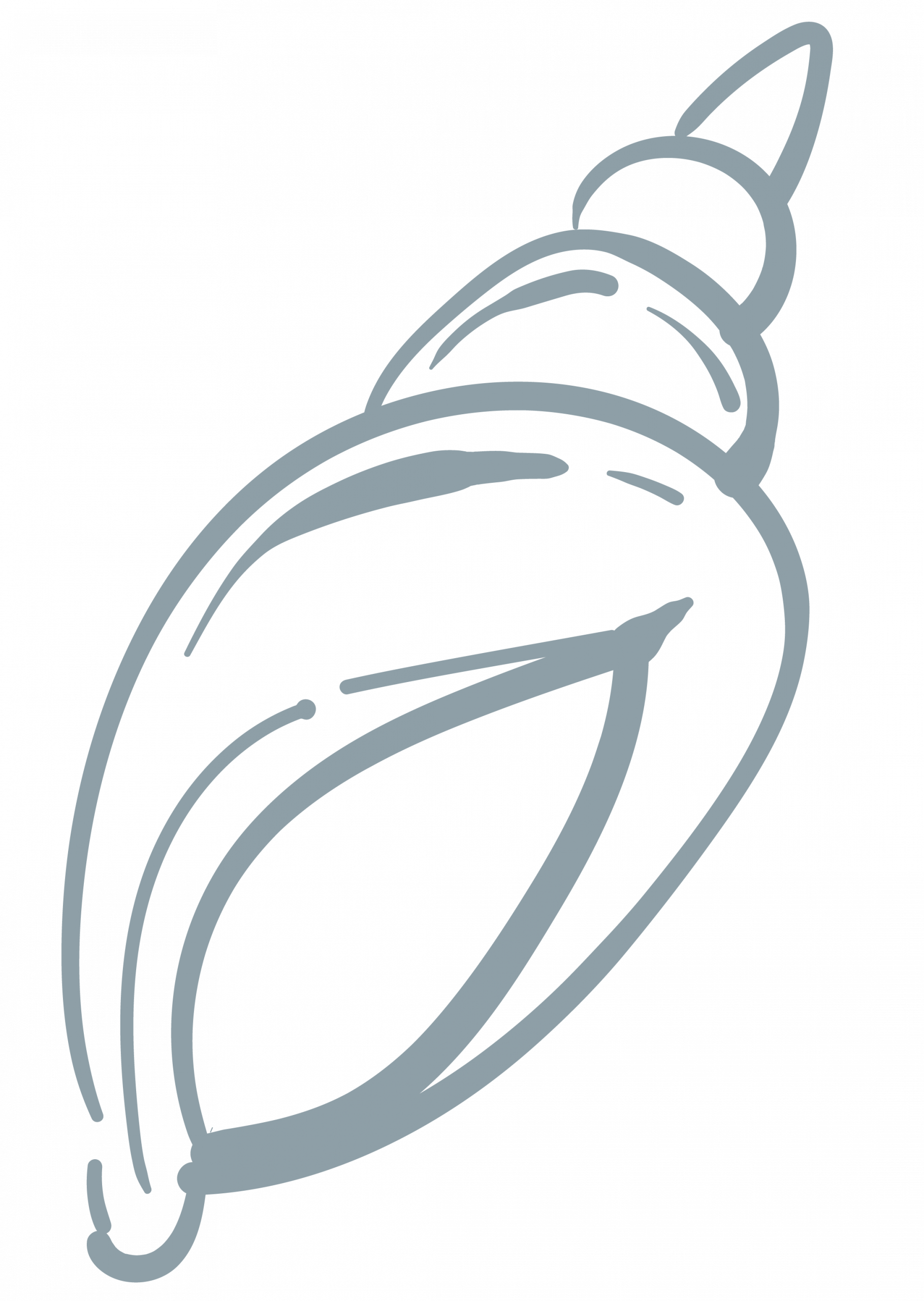 Vector coral 2